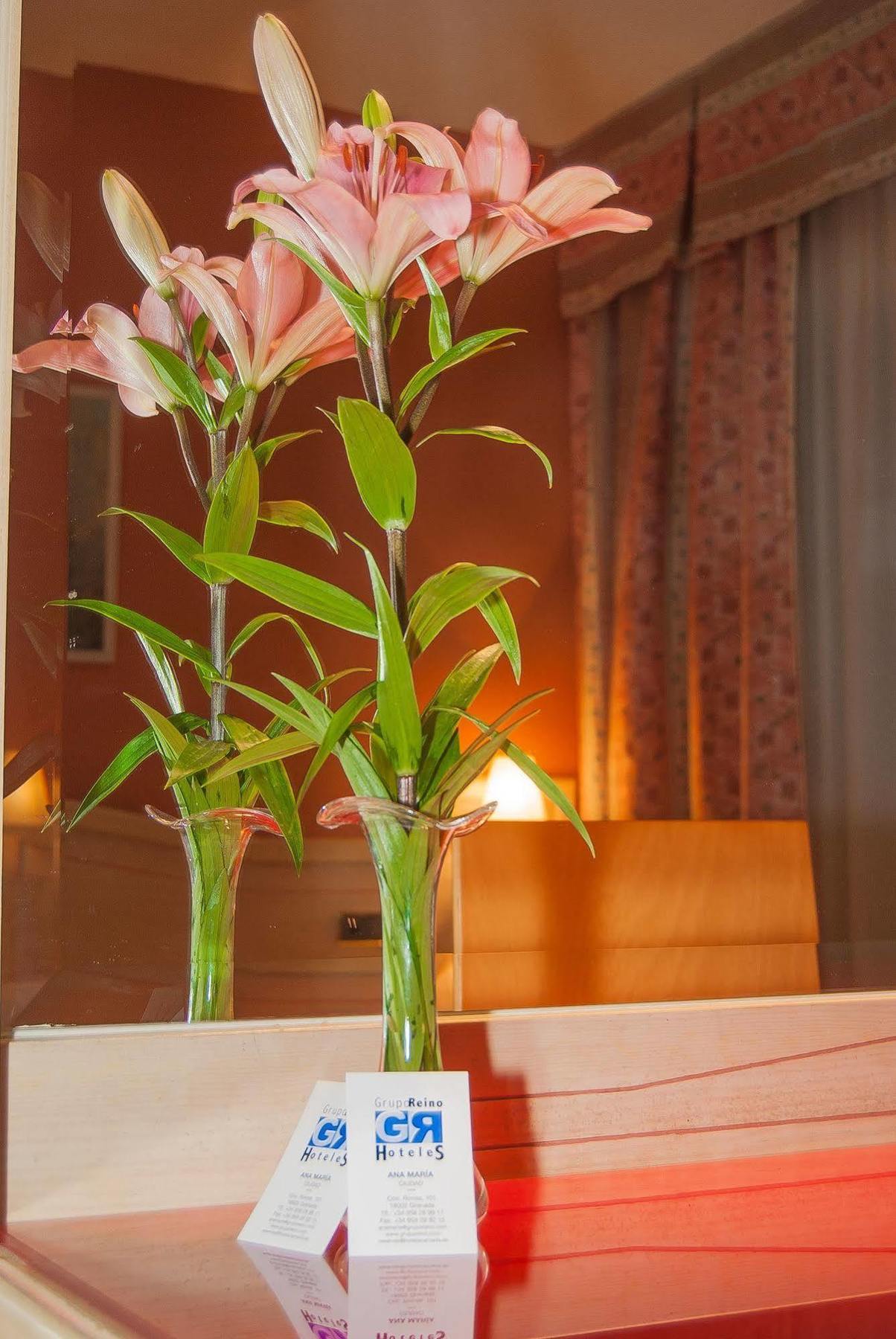 Hotel Ana Maria à Grenade Extérieur photo